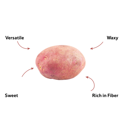 Starfresh Sweet Potato Loose 500 gm