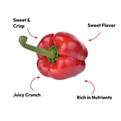 Starfresh Capsicum Red ~ 500 gm