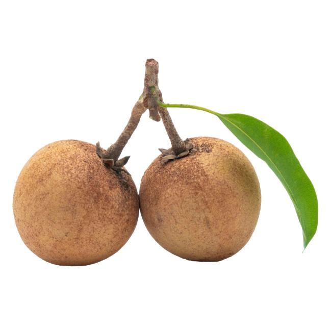 Starfresh Sapota Round ~ 1 kg