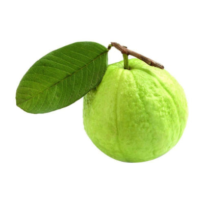 Starfresh Indian Jumbo Guava ~ 750 g