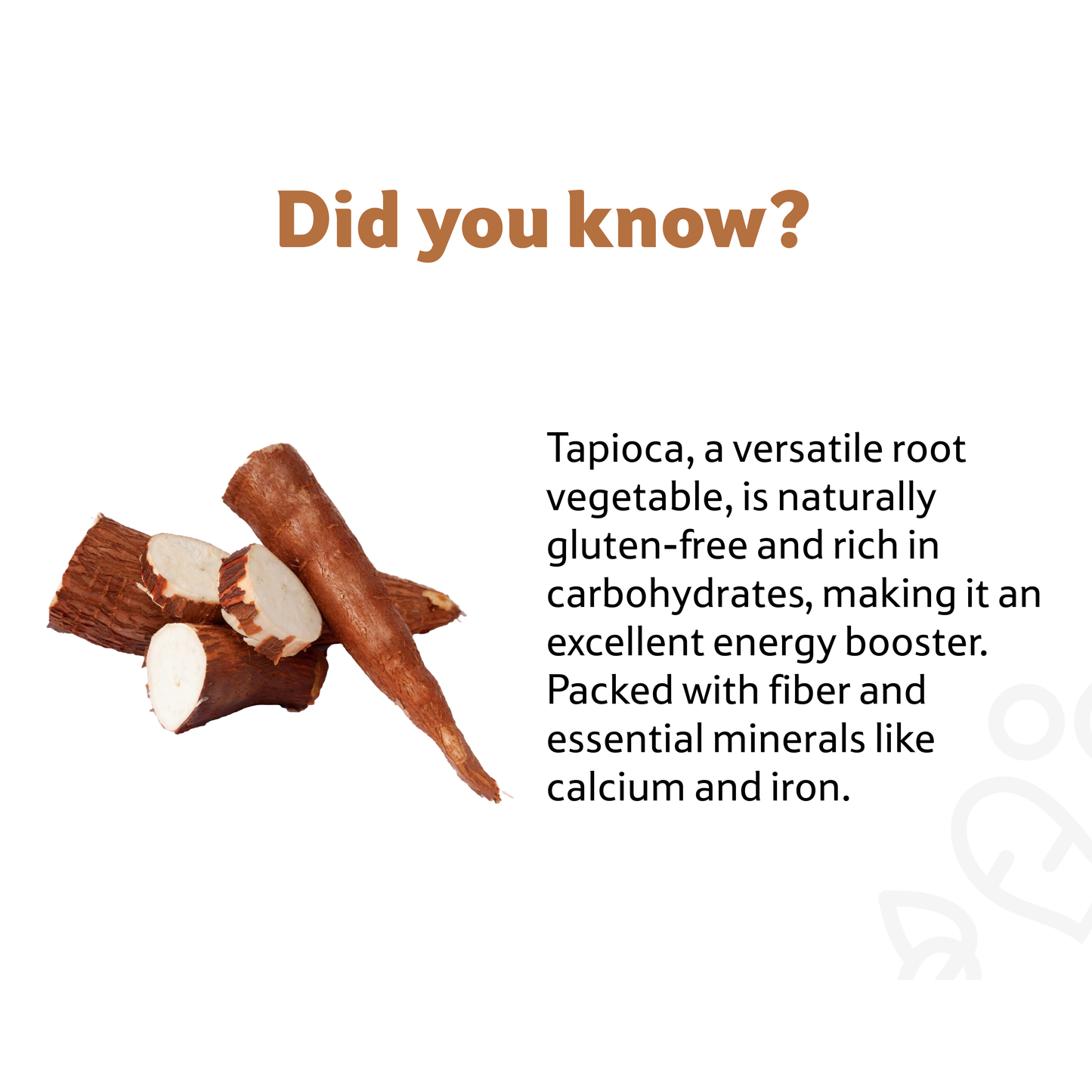 Starfresh Tapioca ~ 500 gm