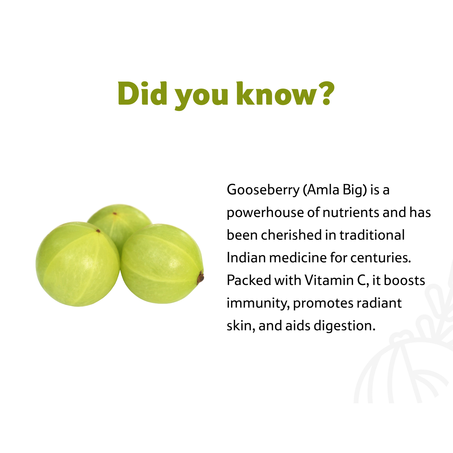 Starfresh Gooseberry Amla Big Loose 500 g
