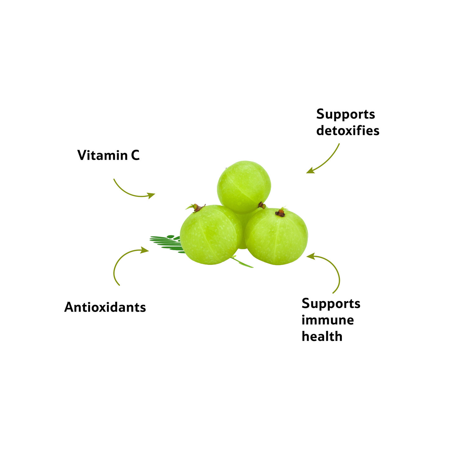 Starfresh Gooseberry Amla Big Loose 500 g