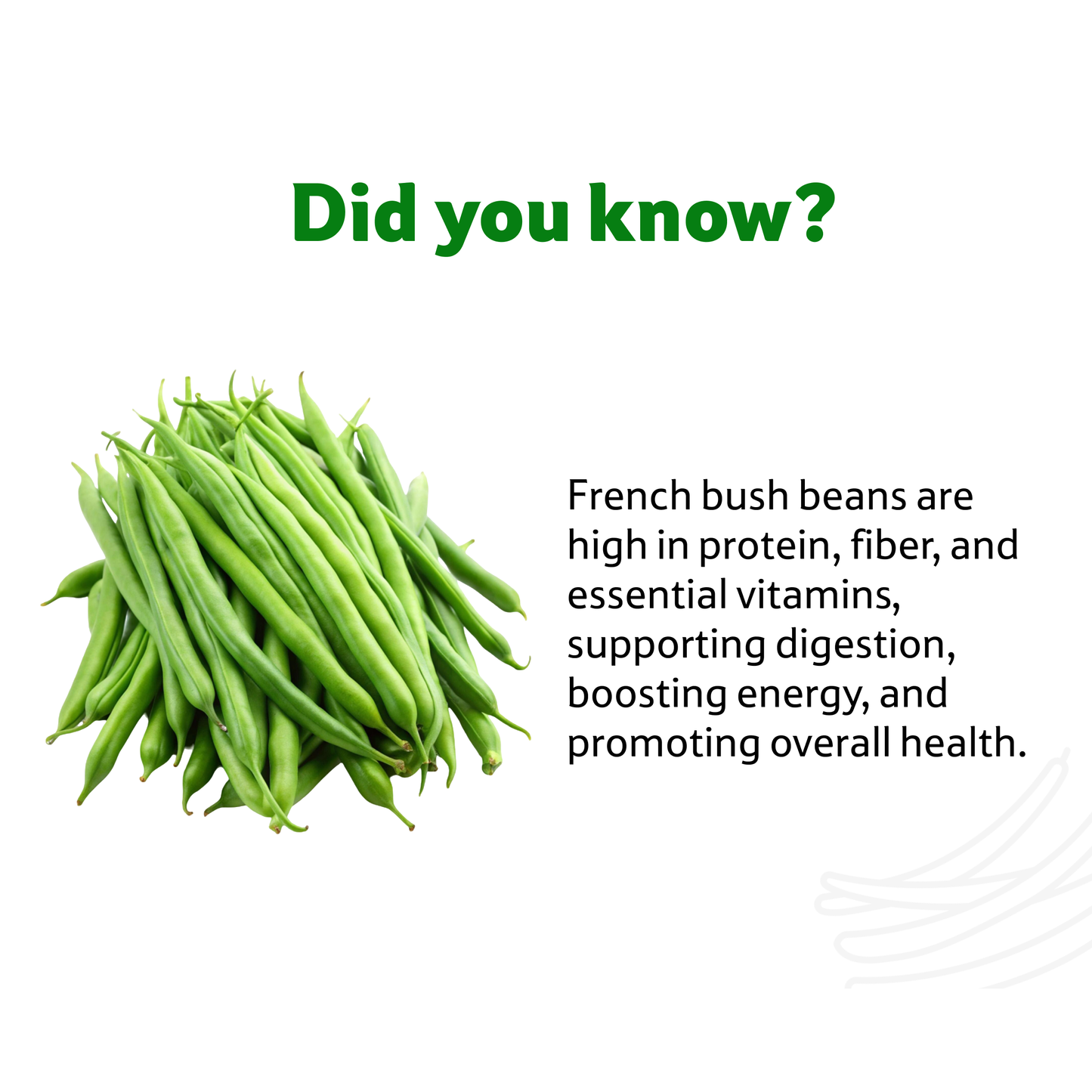 Starfresh French Bush Beans ~ 250 gm