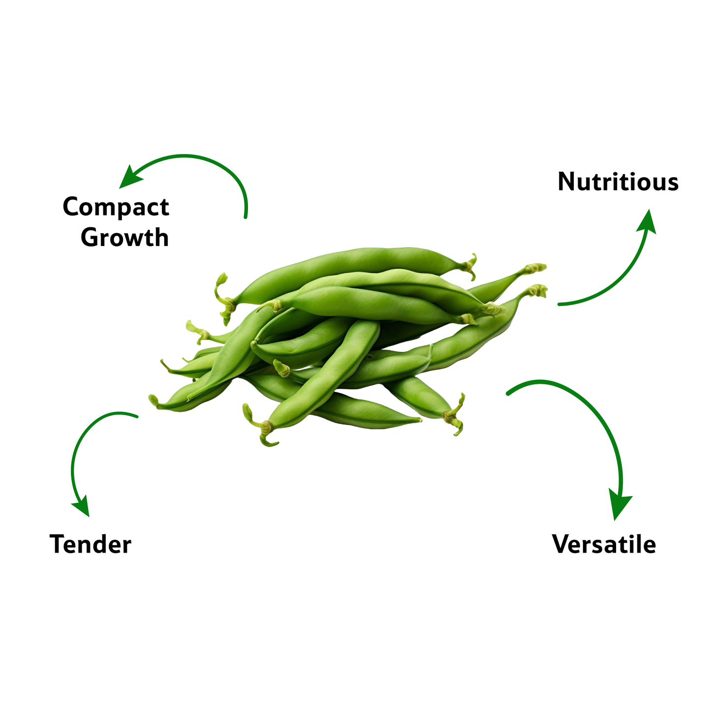 French Bush Beans, 500 g