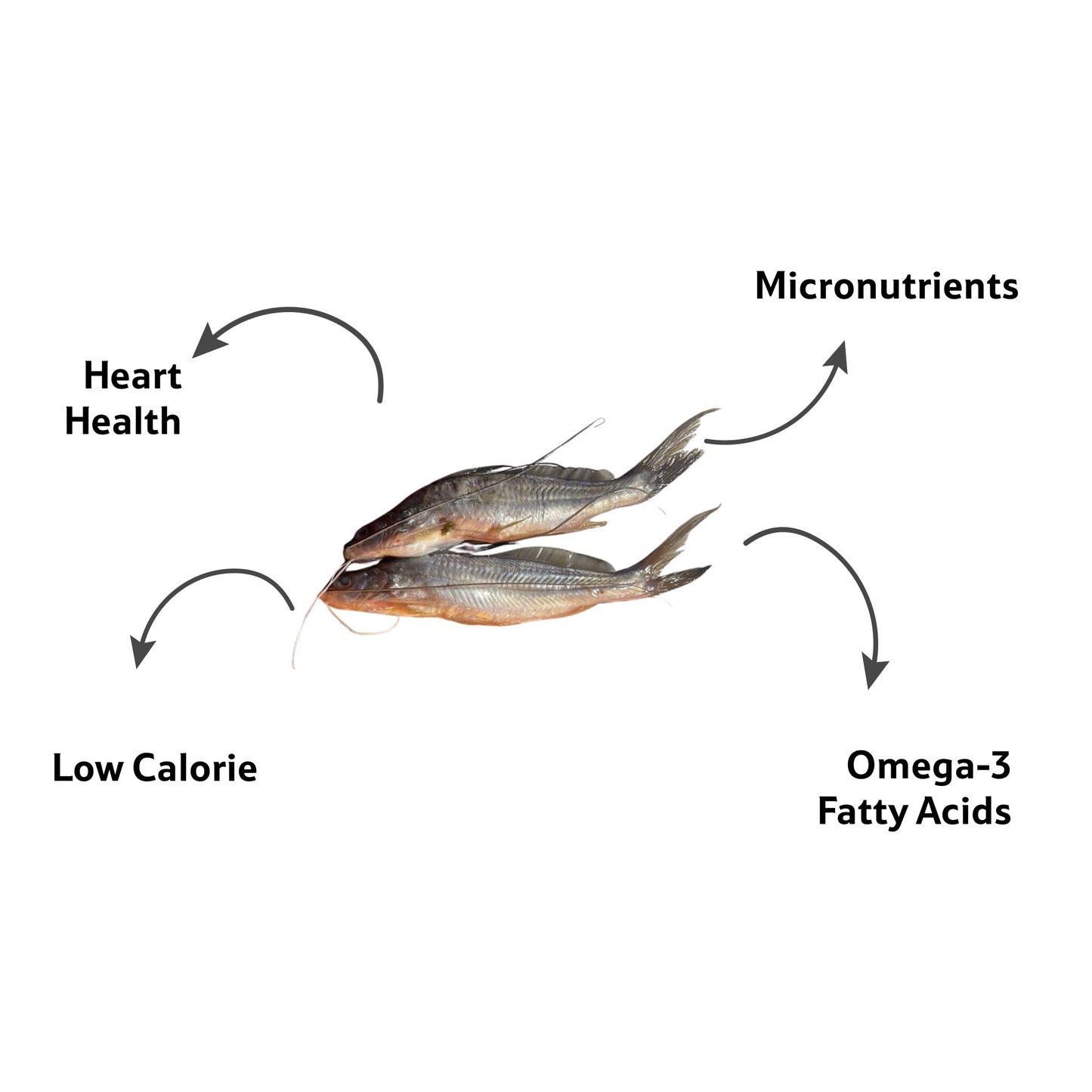 Fresh Water Tengra Whole Clean, 1 Kg