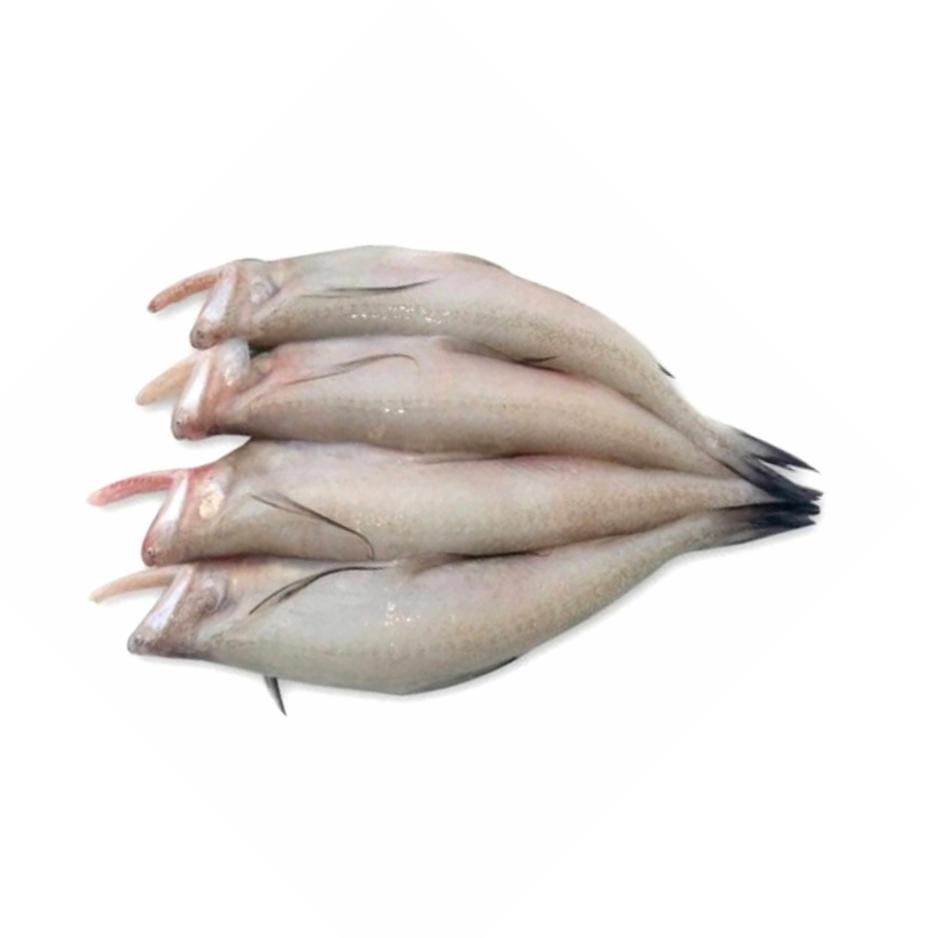 Sea Water Bombay Duck Bombil Whole, 500 g