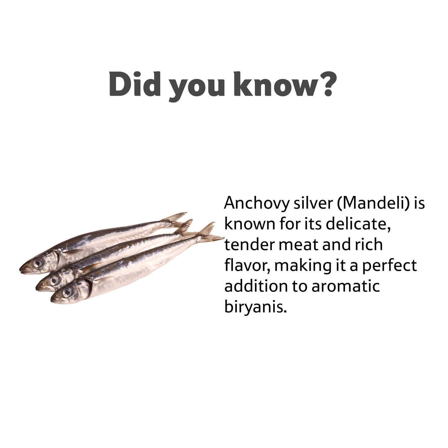 Sea Water Fresh Whole Anchovy Mandeli, About 1 Kg
