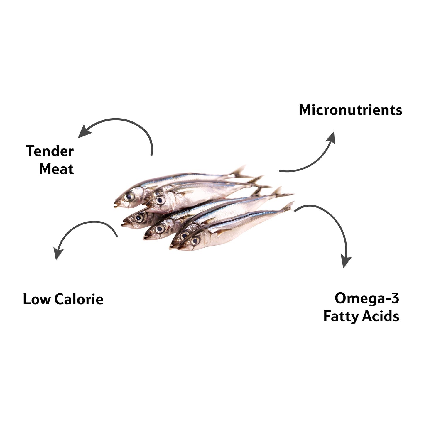 Starfresh Sea Water Fresh Whole Anchovy (Mandeli) About about 1 kg