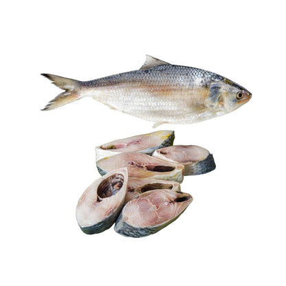 Fresh Water Hilsa Round Cut, 1 Kg
