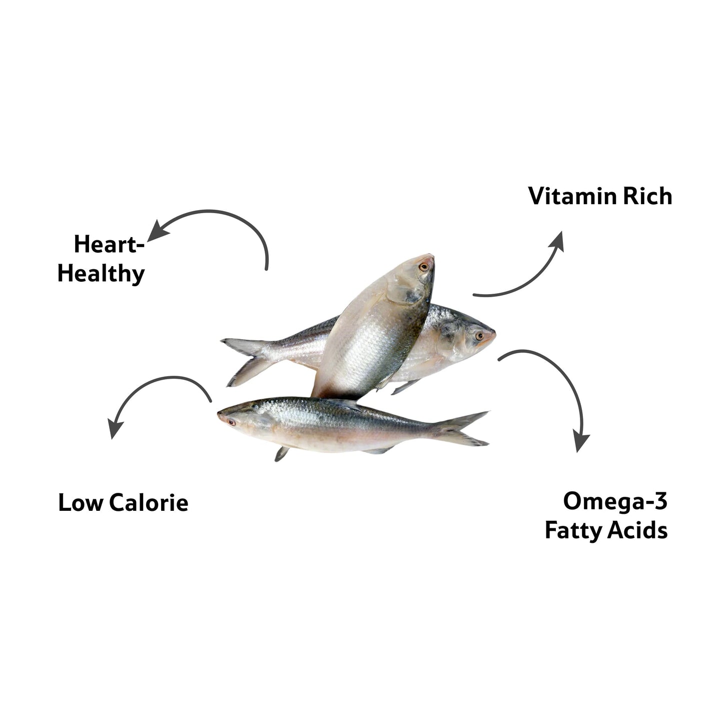 Fresh Water Hilsa Round Cut, 1 Kg
