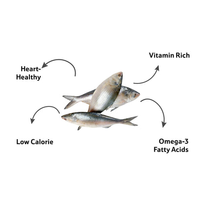 Fresh Water Hilsa Round Cut, 1 Kg