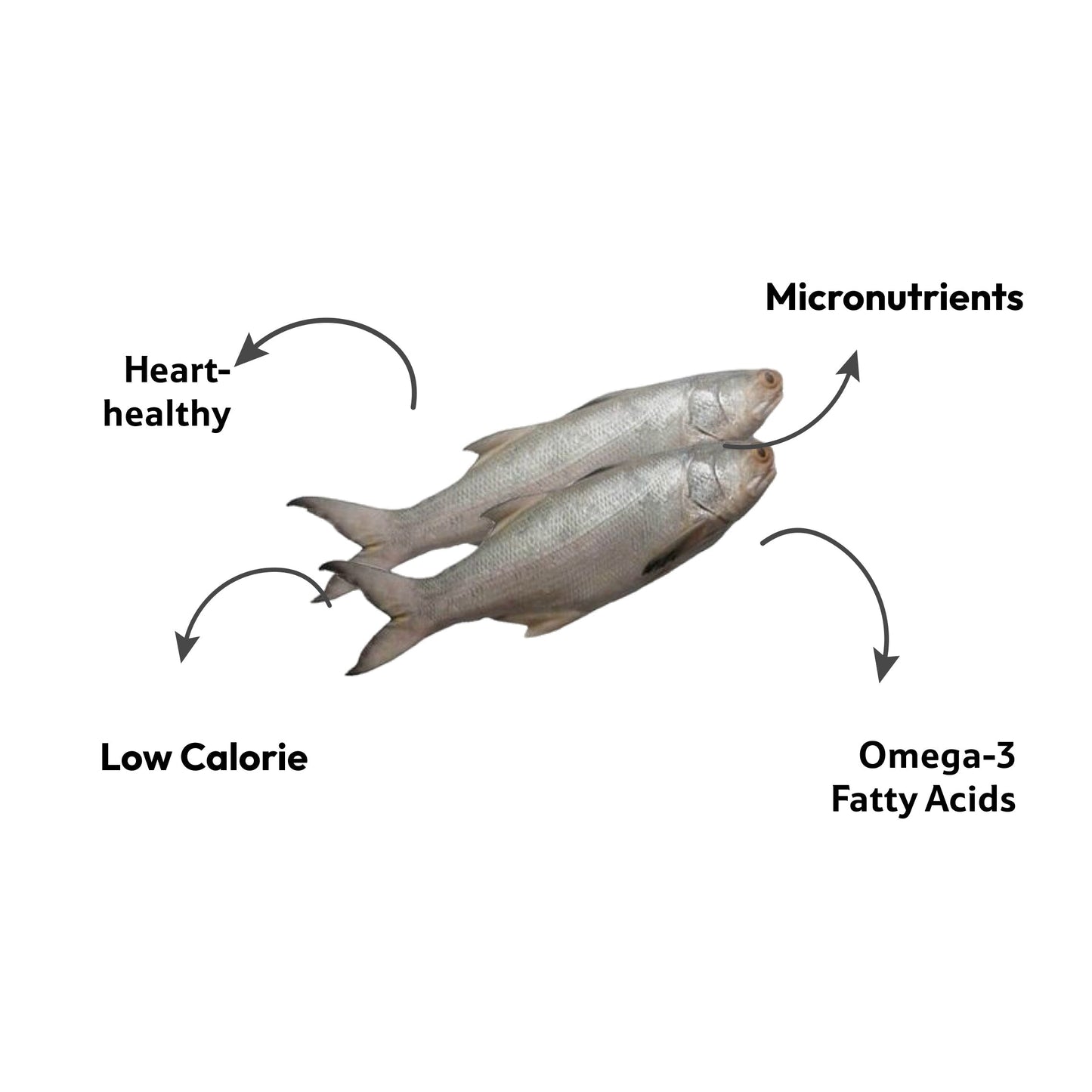Sea Water Indian Salmon Ravas Small Round, Cut 800 g