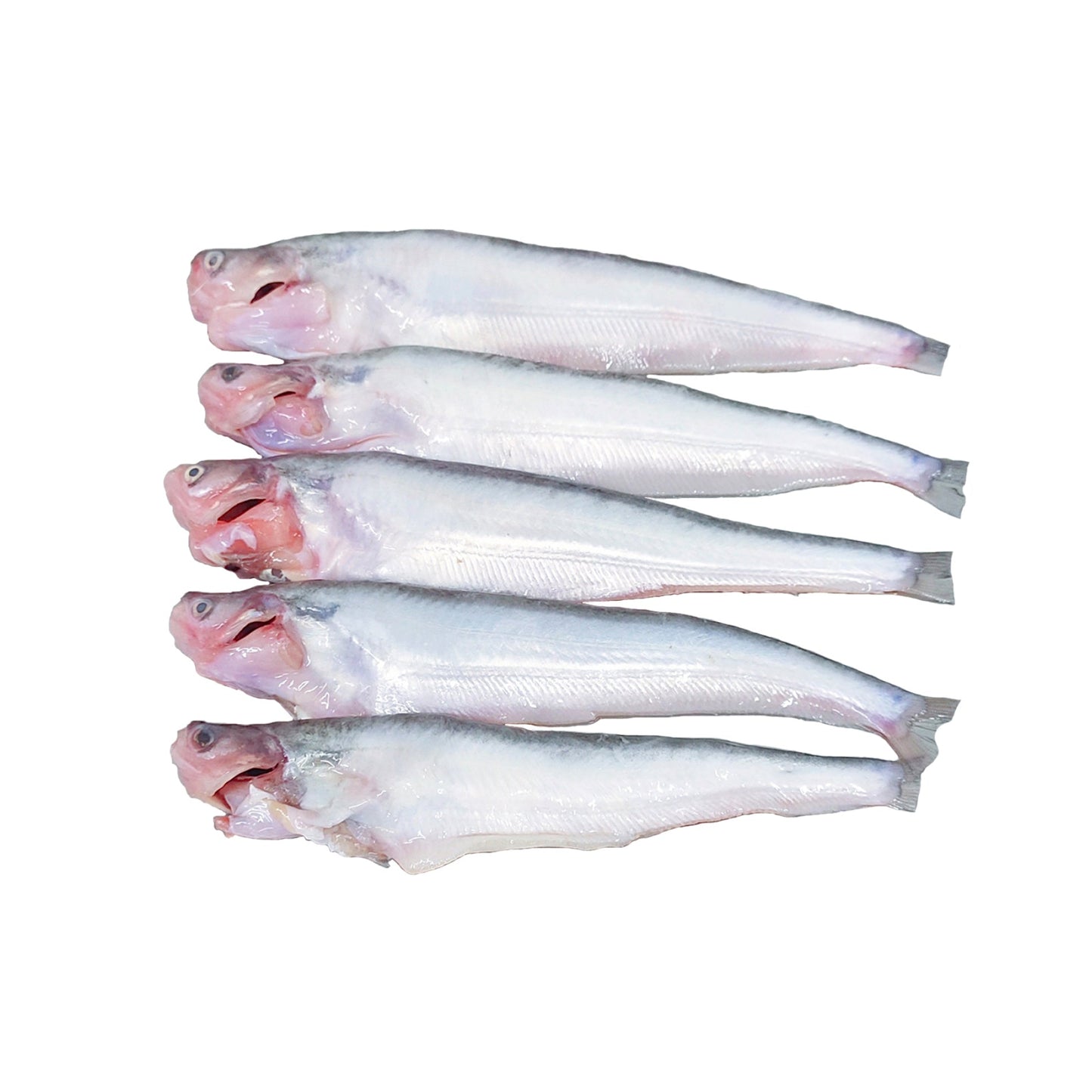 Fresh Water Pabda, 1X2 Cut 1 Kg