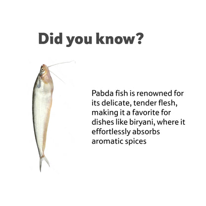 Fresh Water Pabda, 1X2 Cut 1 Kg