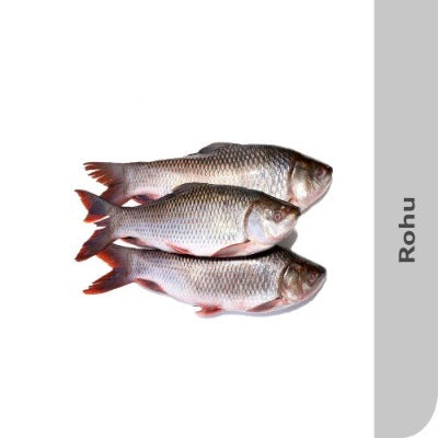 Starfresh Fresh Water Rohu Whole (Bengali Curry Cut) From 980 -1200 Gm