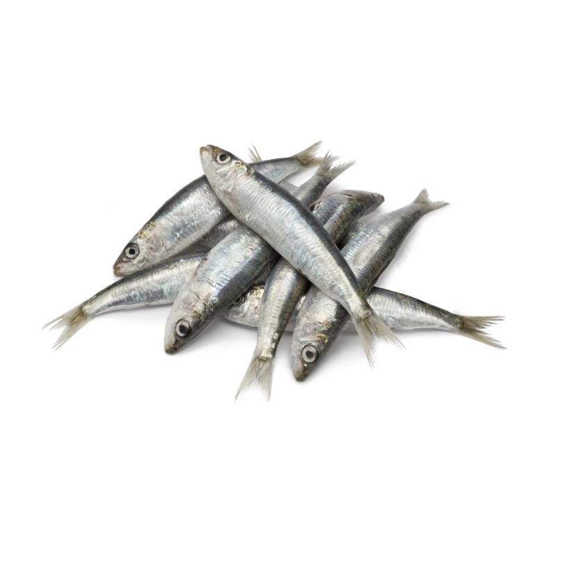 Sea Water Sardine Medium Cleaned, Gross 1.05 Kg, Cleaned 1 Kg