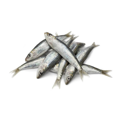 Sea Water Sardine Medium Cleaned, Gross 1.05 Kg, Cleaned 1 Kg