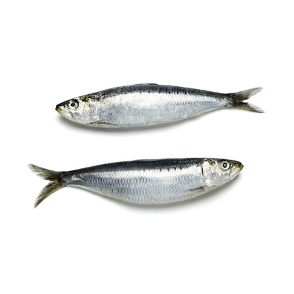 Starfresh Sea Water Sardine Medium Cleaned gross 1.05 kg, cleaned 1 kg