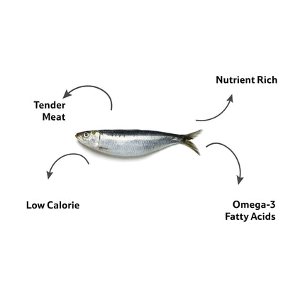 Starfresh Sea Water Sardine Medium Cleaned gross 1.05 kg, cleaned 1 kg