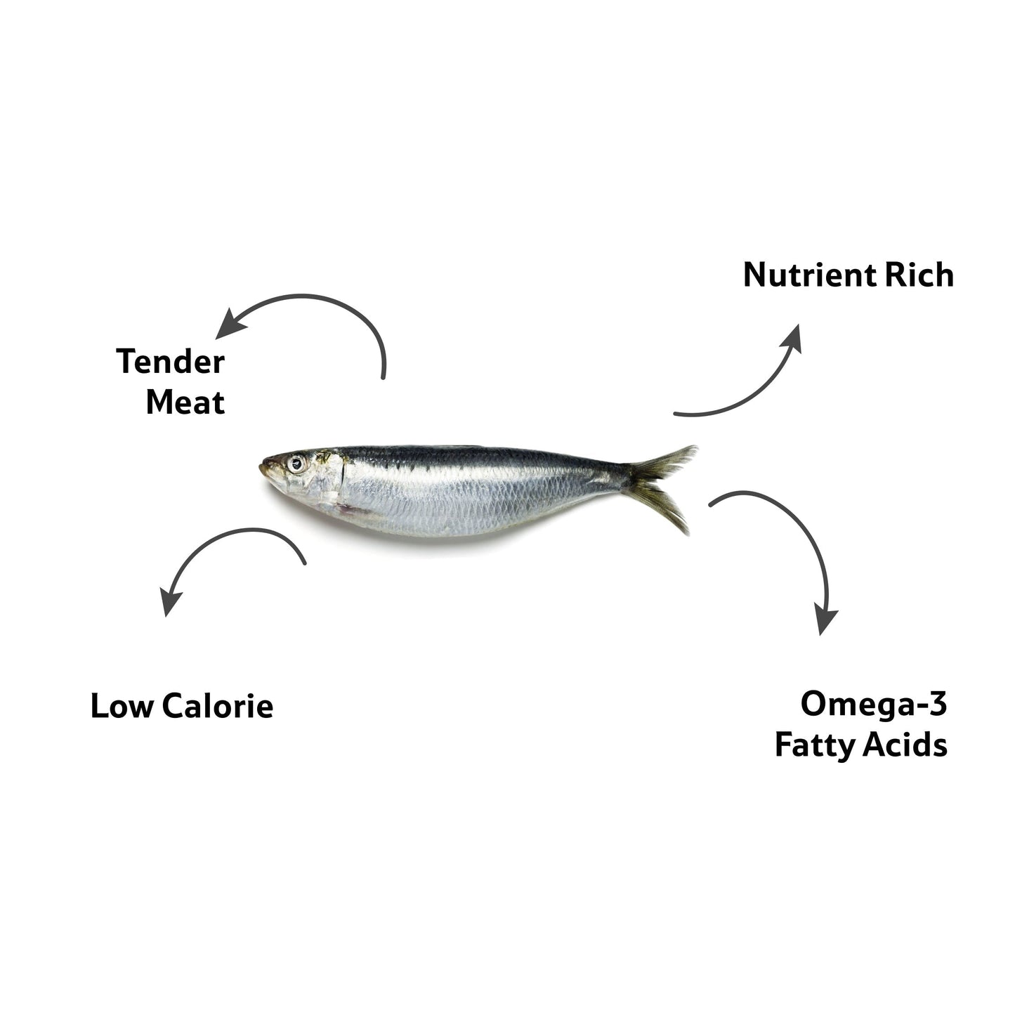 Sea Water Sardine Medium Cleaned, Gross 525 g, Cleaned 500 g