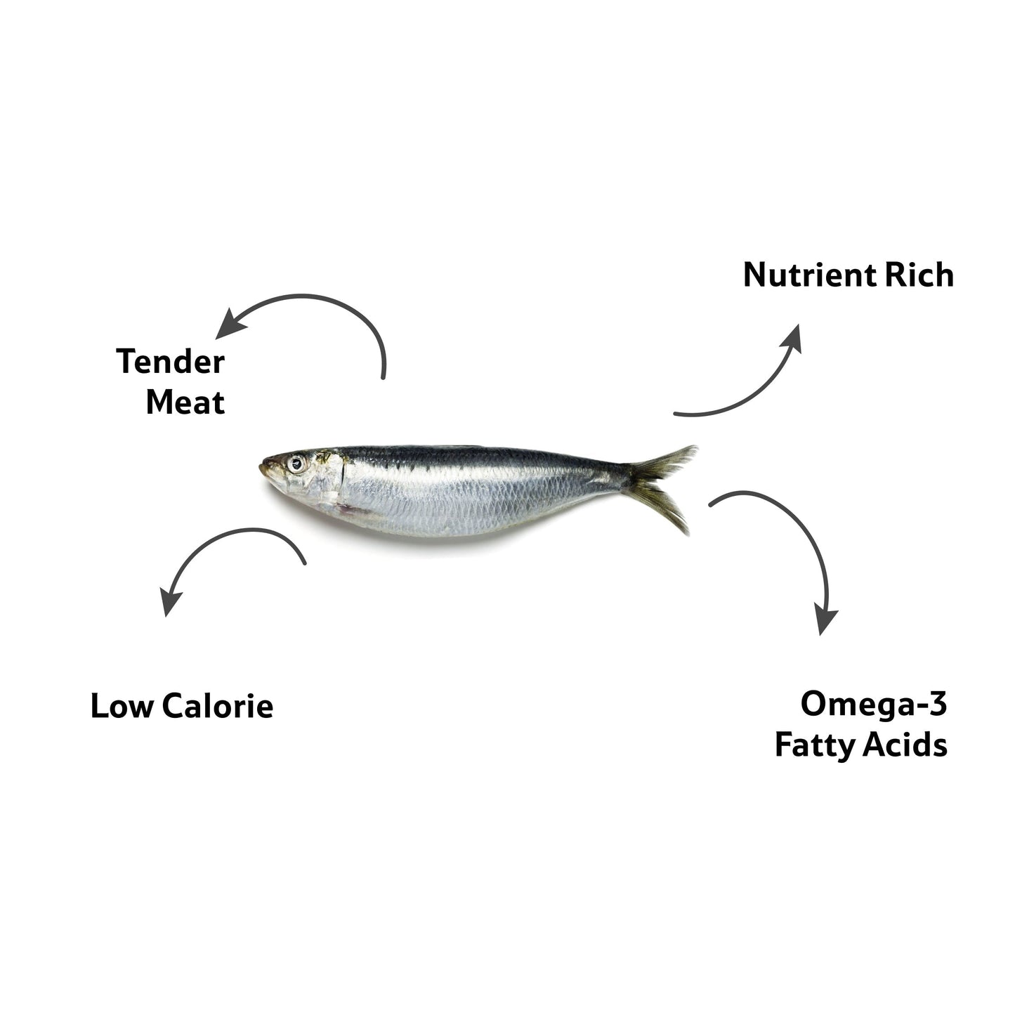 Starfresh Sea Water Sardine Medium Cleaned gross 525 gm, cleaned 500 gm