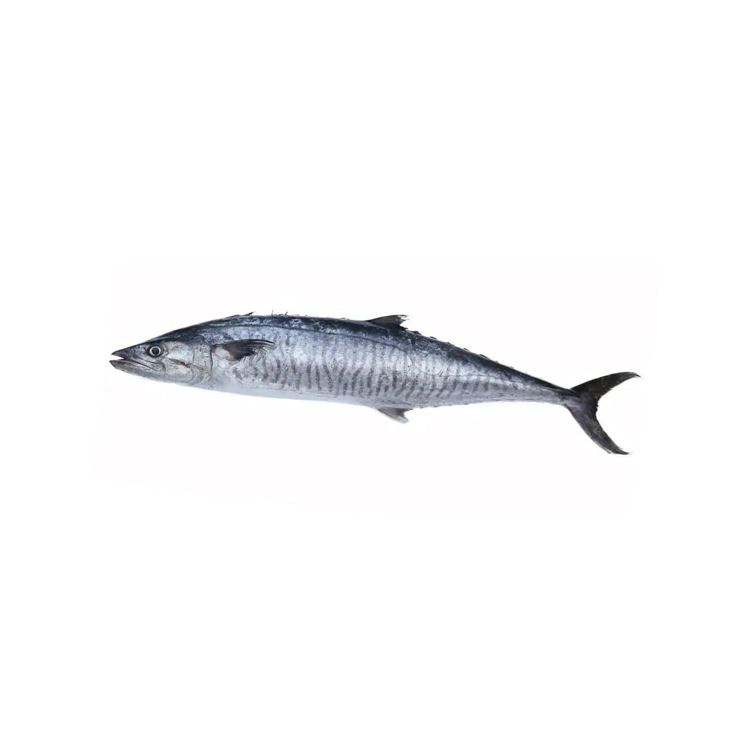 Sea Water Seer Large Fillet, Gross 700 g, Fillet 500 g