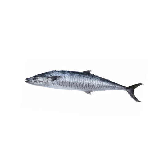 Starfresh Sea Water Seer Large Curry & Steak Gross 550 Gm, Steak 500 Gm