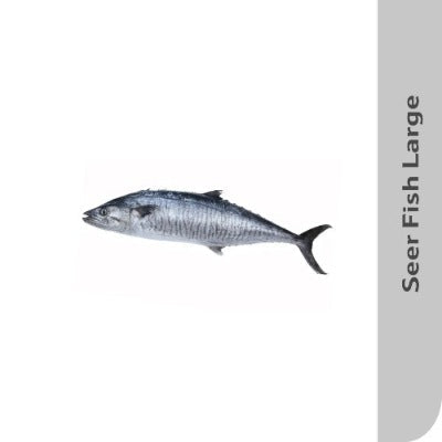 Starfresh Sea Water Seer Large Curry & Steak Gross 550 Gm, Steak 500 Gm