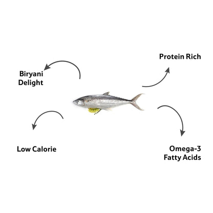 Starfresh Sea Water Seer Small Steak gross 1.65 kg, steak 1.5 kg