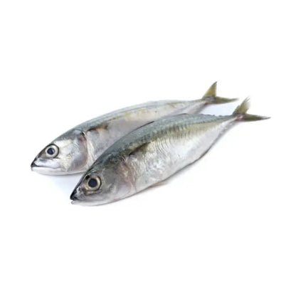 Sea Water Seer Small Steak, Gross 1.1 Kg, Steak 1 Kg