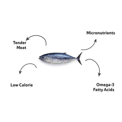 Sea Water Tuna Round Cut, Gross 1.6 Kg, Net 1.45 Kg
