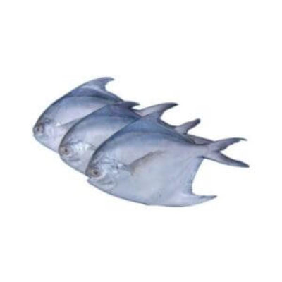 Starfresh Sea Water Silver Pomfret Clean Whole 400 gm