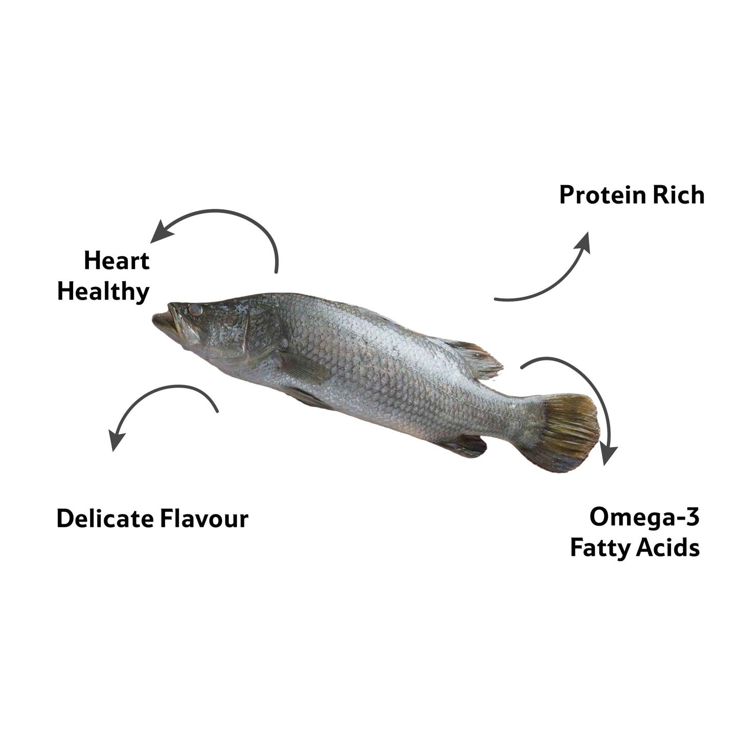 Fresh Water Betki Round Cut, 1.5 Kg