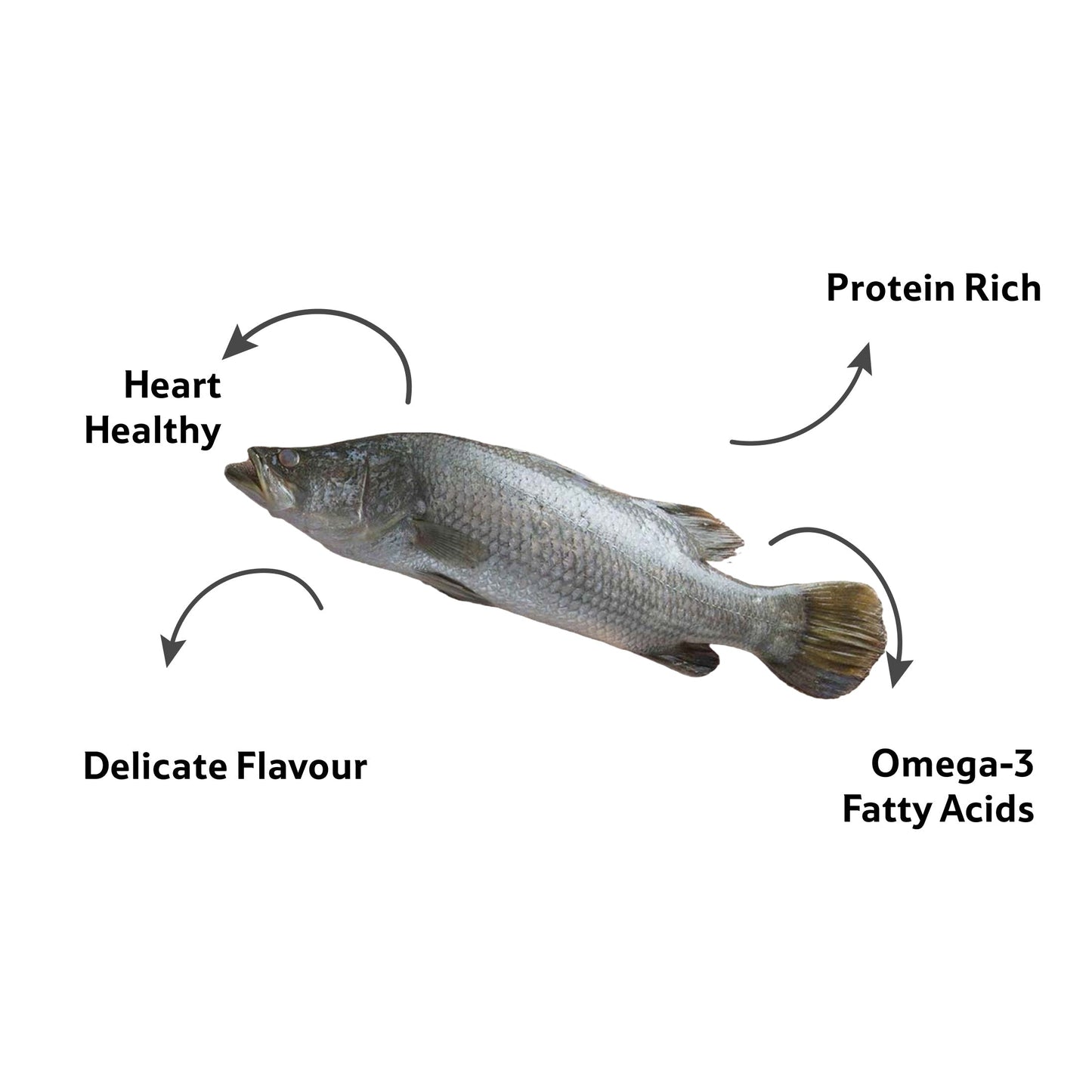 Starfresh Fresh Water Betki Round Cut 1 kg