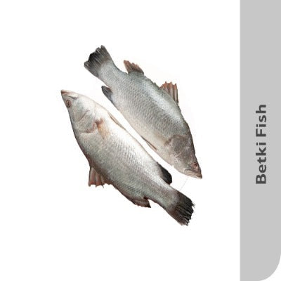 Starfresh Fresh Water Betki Round Cut 1 Kg