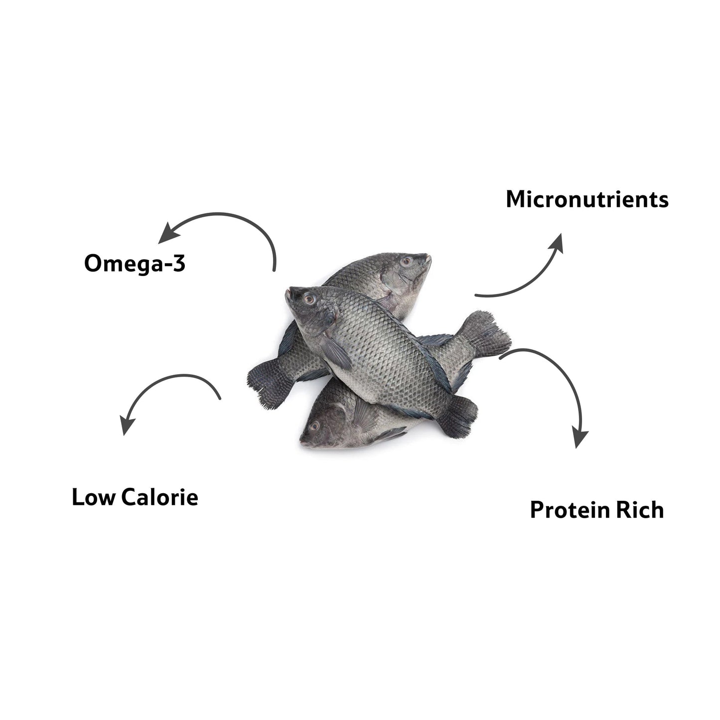 Fresh Water Tilapia Round Cut, 1 Kg
