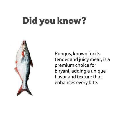 Starfresh Fresh Water Pungus Whole Round Cut  gmross 1.5k gm net 1200 gm