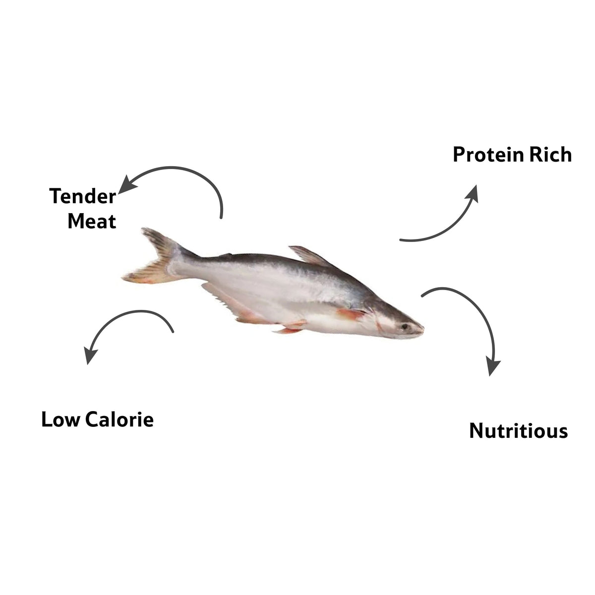 Fresh Water Pungus Fillet Cut, Gross 1.8 Kg, Fillet 530 g