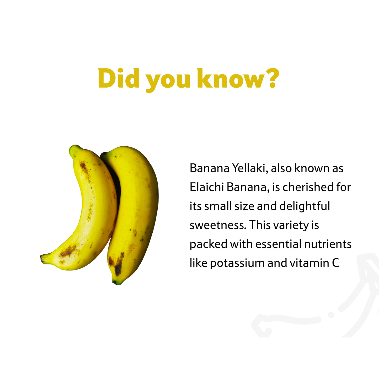 Banana Yellaki, 1.2 Kg
