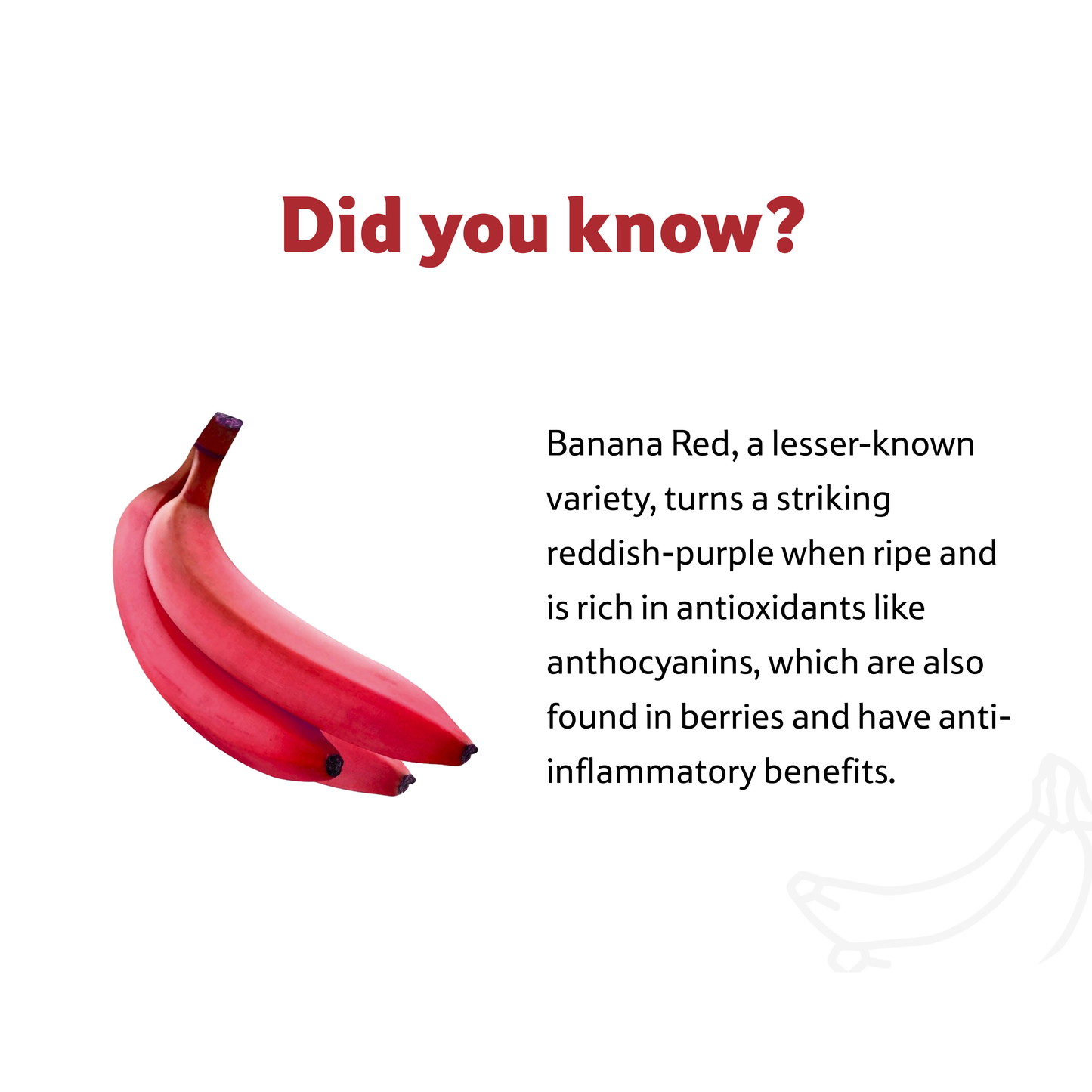 Starfresh Banana Red ~ 2 kg