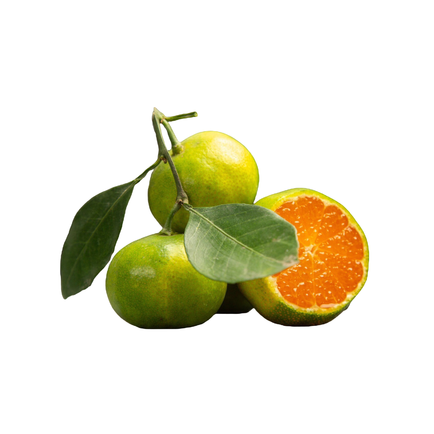 Starfresh Sweet Lime ~ 1.19 kg
