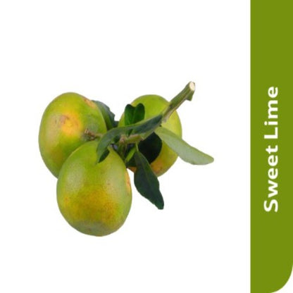 Starfresh Sweet Lime About 1.19 Kg