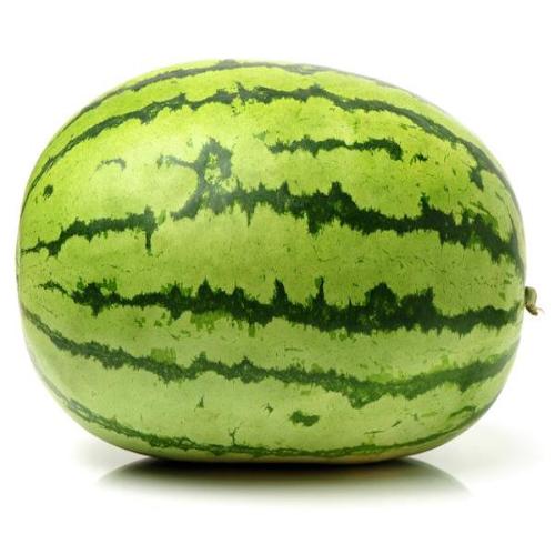 Watermelon Striped, 5.7 Kg
