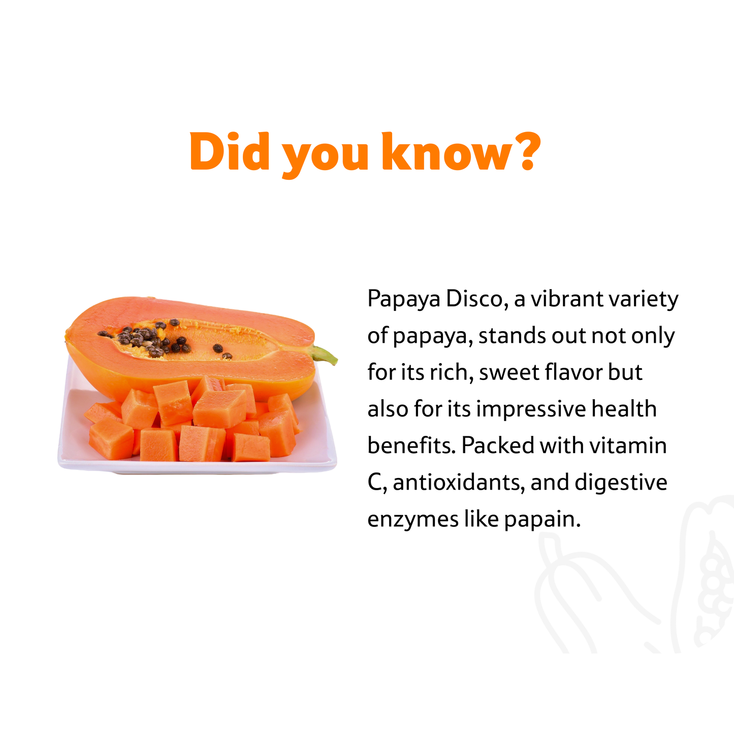 Papaya Disco, 1.5 Kg