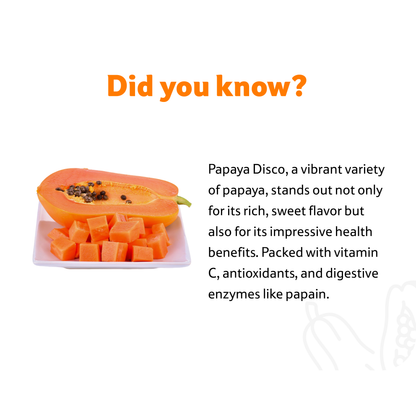 Papaya Disco, 1.5 Kg