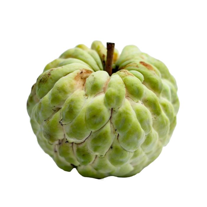 Starfresh Custard Apple ~ 450-500 g