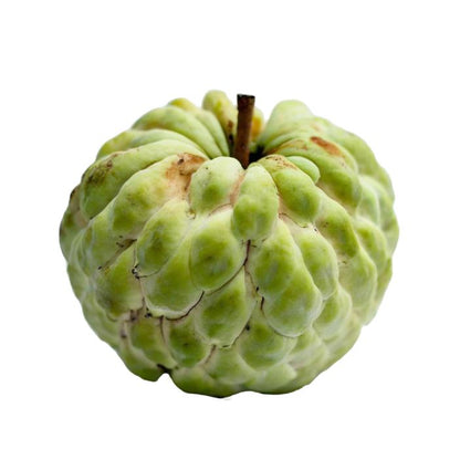 Starfresh Custard Apple ~ 450-500 g