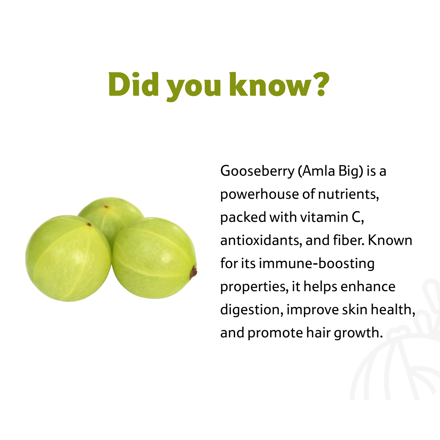 Gooseberry Amla, Prepack 500 g