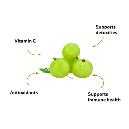 Starfresh Gooseberry Amla Prepack 500 gm